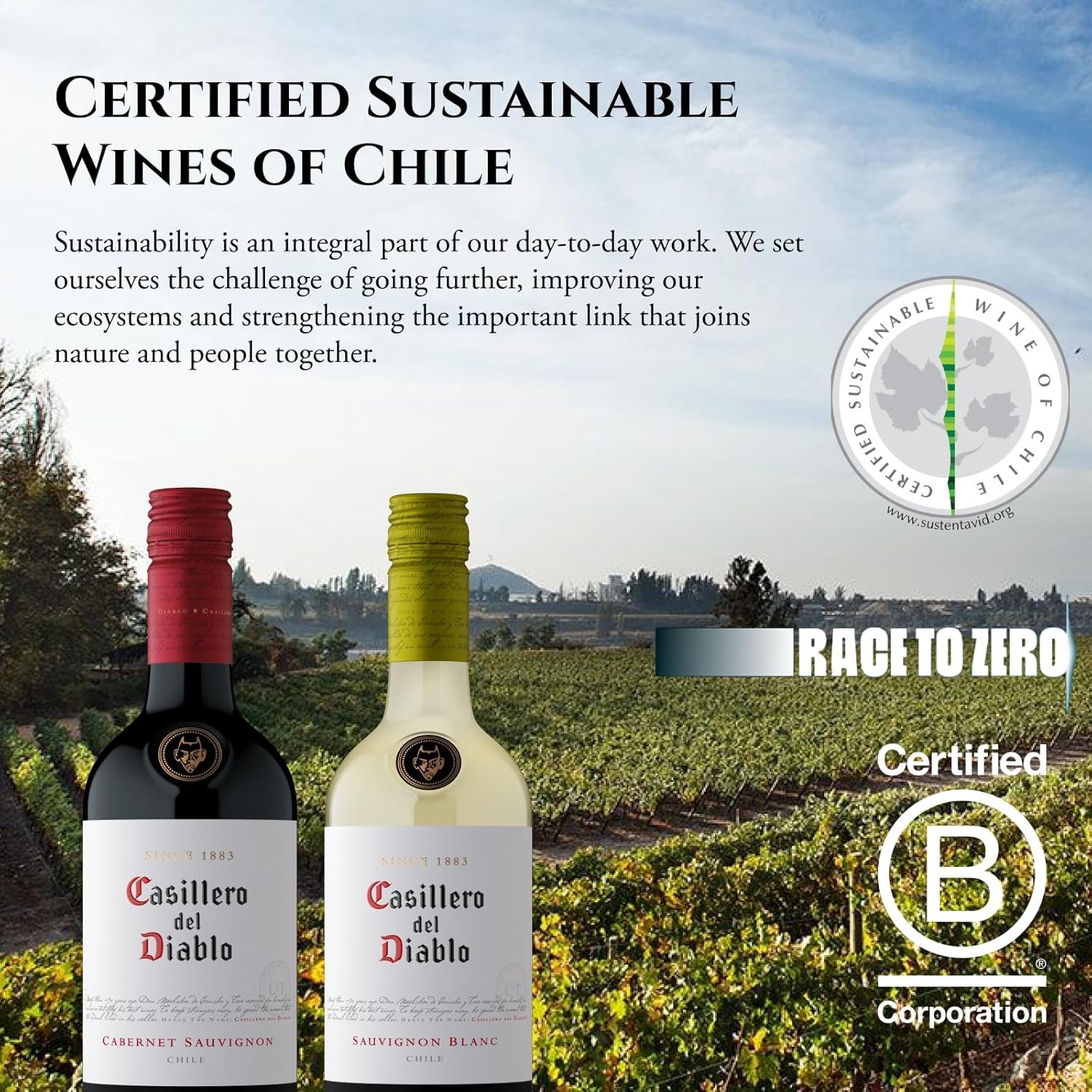 Concha y Toro Casillero Del Diablo Sauvignon Blanc 750ml - Imagem 5